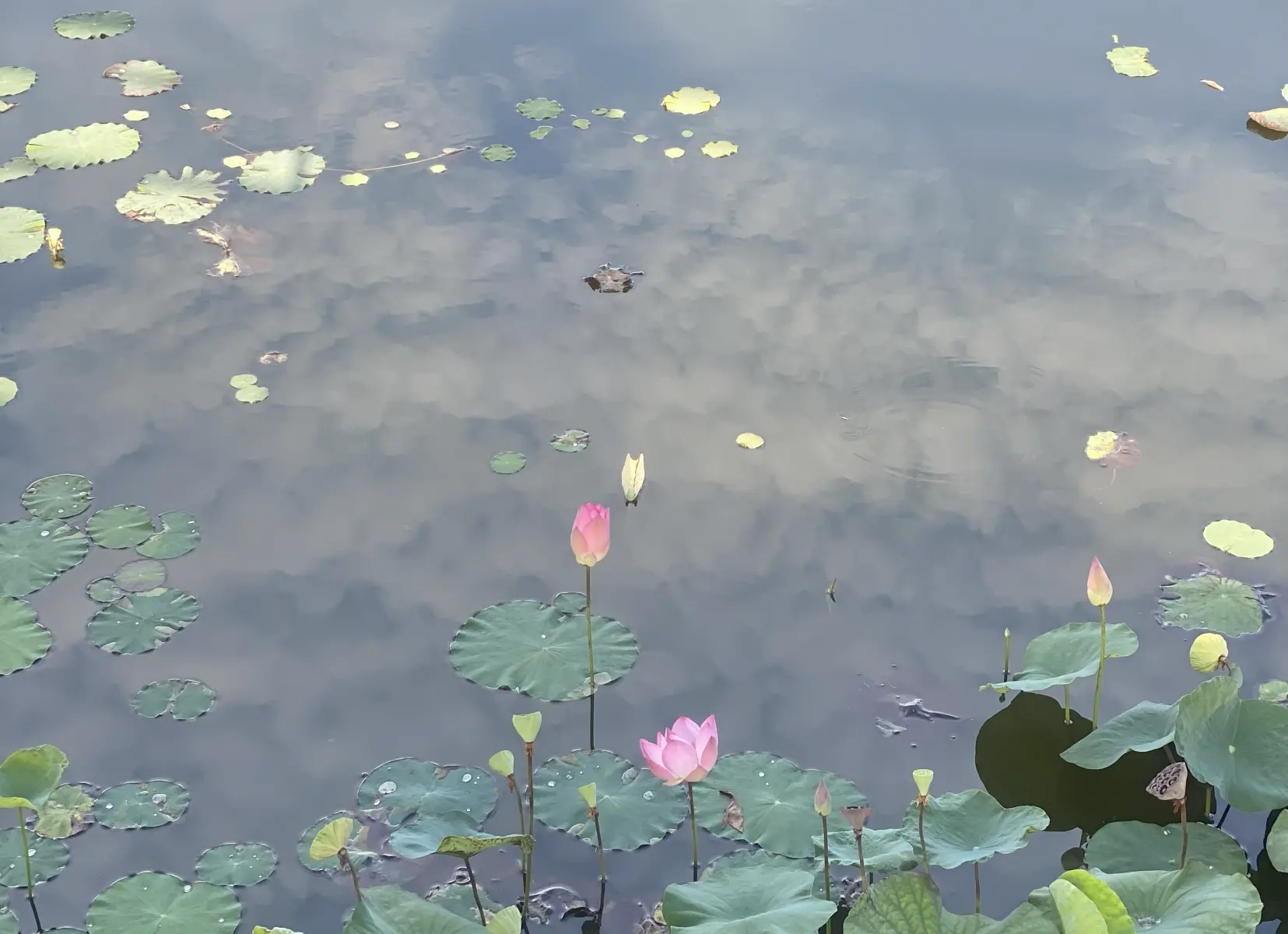 The ‘Epiphany’ and New Beginnings